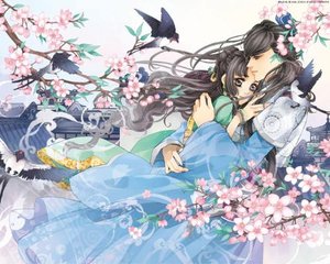 蘑菇传媒